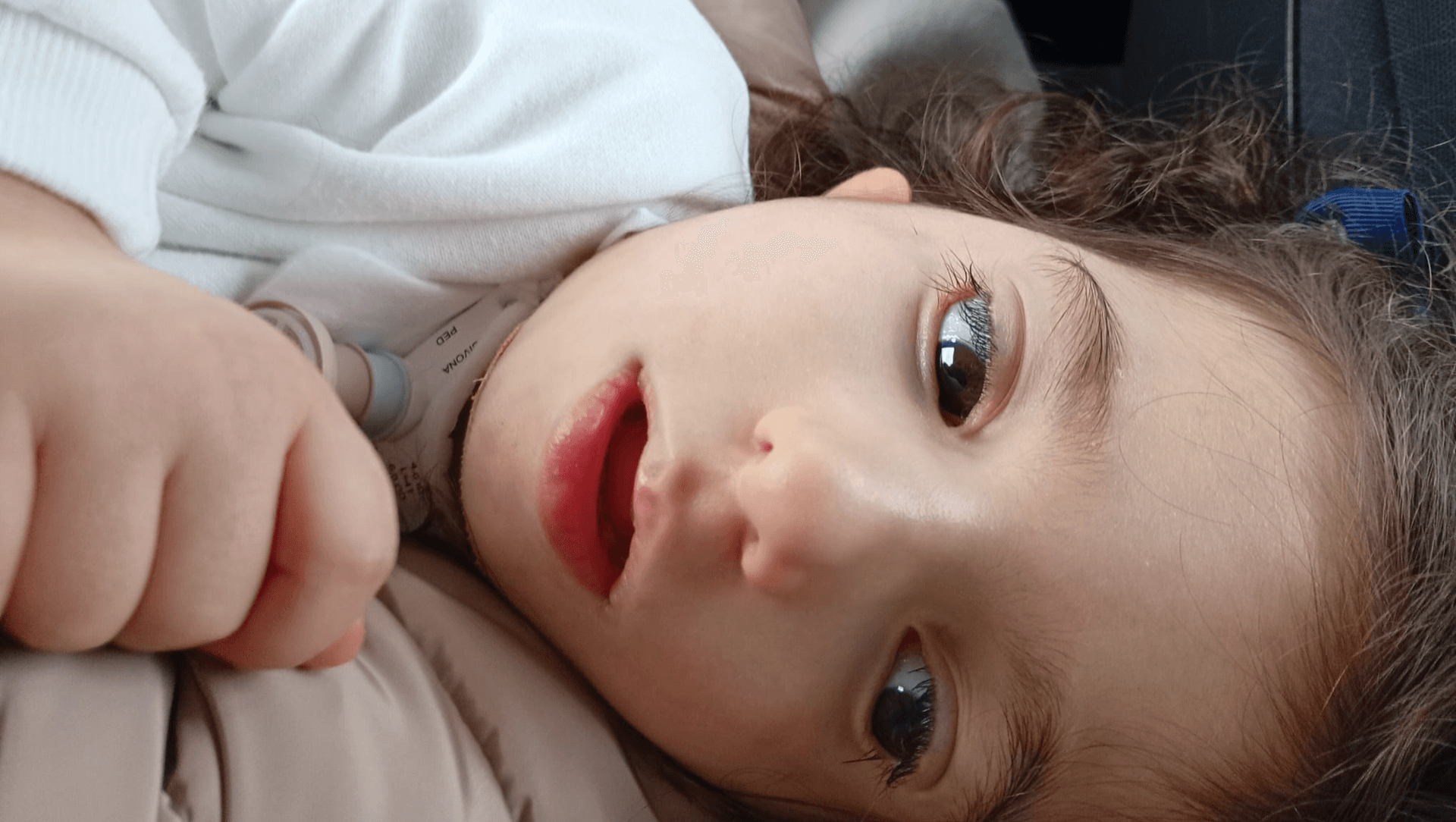 Pequena Sofia, Grande Guerreira