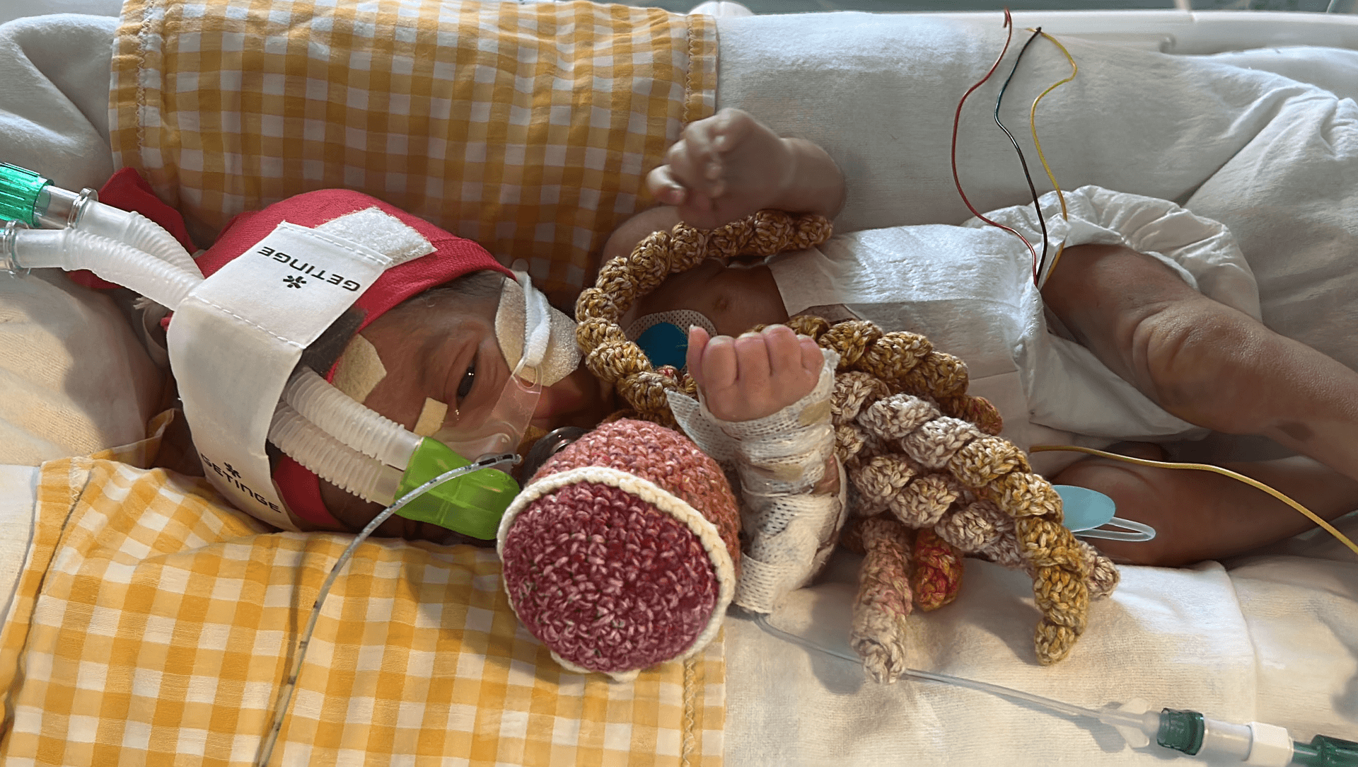 Polvinhos para a Neonatologia