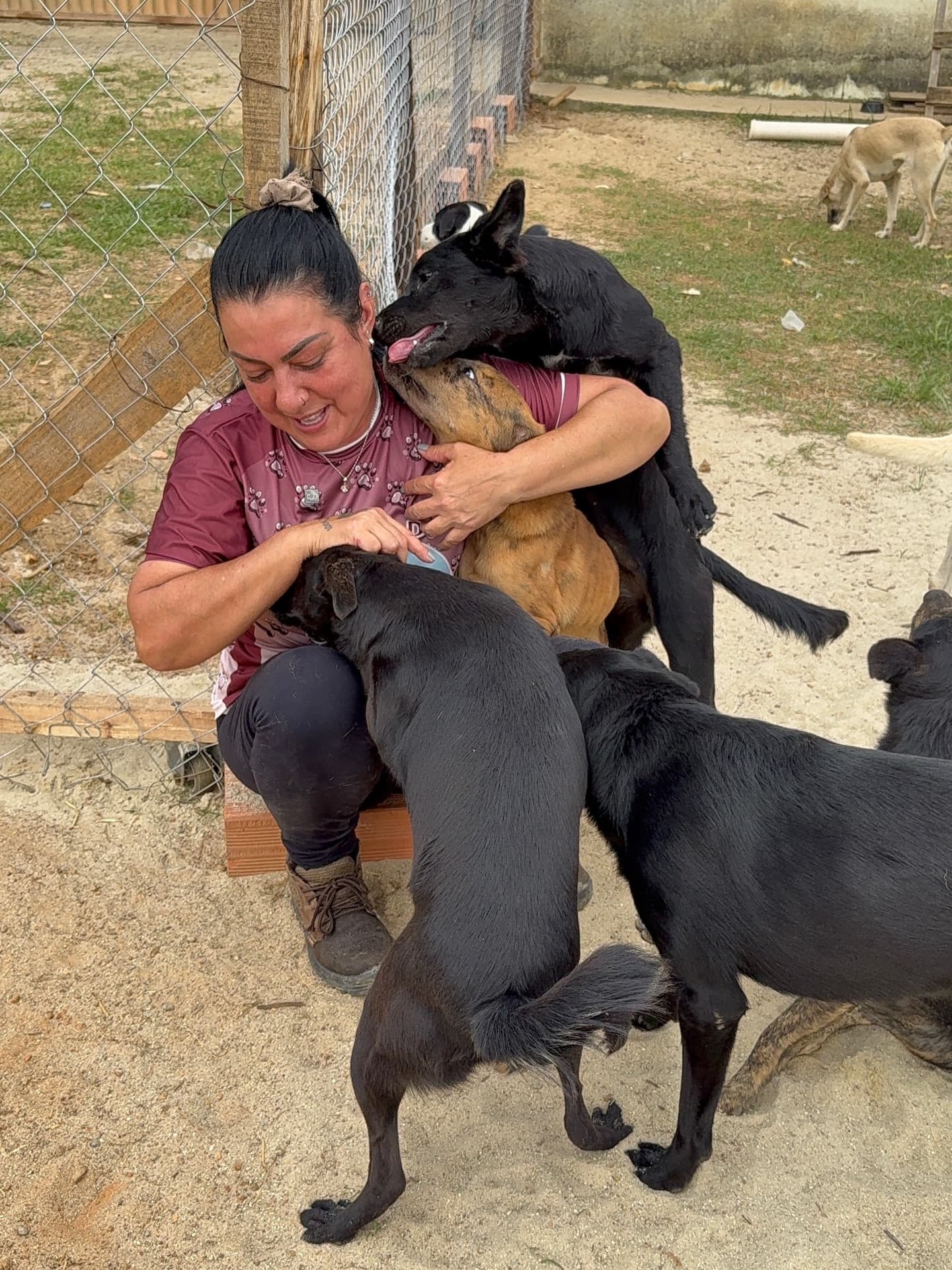 Refúgio da Tia Ré — 160 vidas dependem da sua decisão